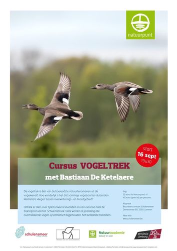 Cursus vogeltrek