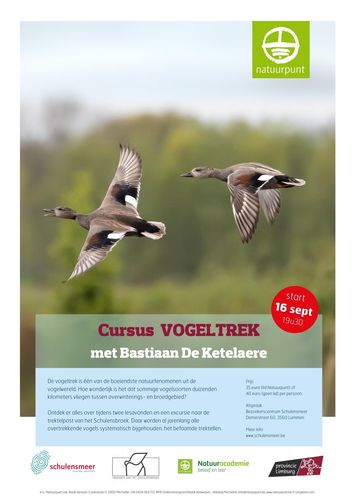 Cursus Vogeltrek met Bastiaan De Ketelaere van Natuuracademie