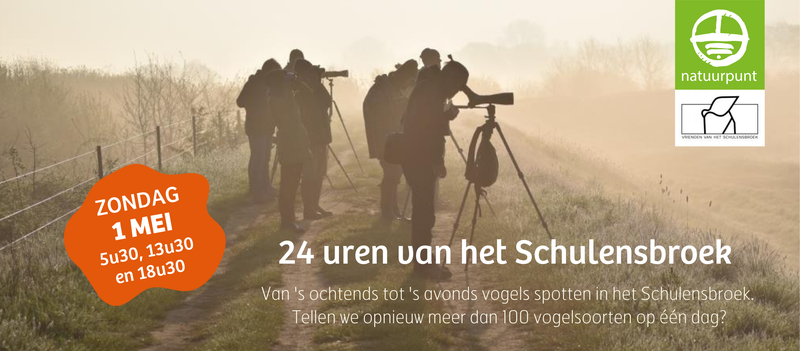 24 uur vogels spotten