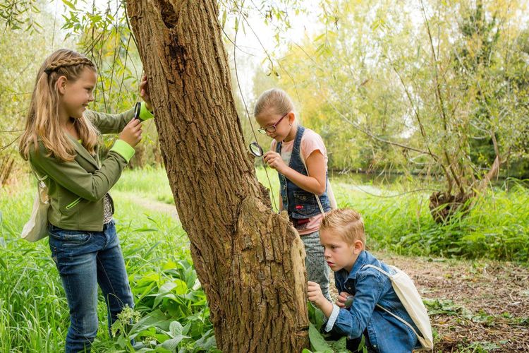 Cursus natuurgids 2025-2026